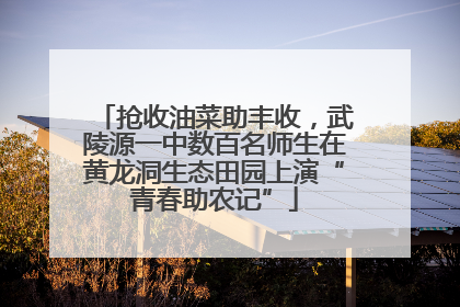 抢收油菜助丰收，武陵源一中数百名师生在黄龙洞生态田园上演“青春助农记”