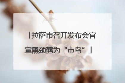 拉萨市召开发布会官宣黑颈鹤为“市鸟”