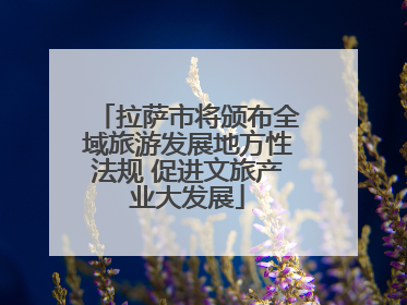 拉萨市将颁布全域旅游发展地方性法规 促进文旅产业大发展