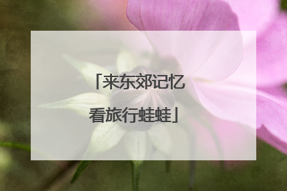 来东郊记忆 看旅行蛙蛙