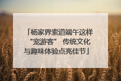 杨家界索道端午这样“宠游客” 传统文化与趣味体验点亮佳节