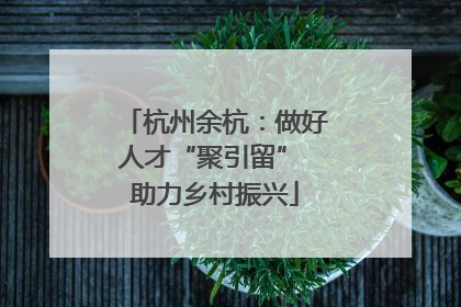 杭州余杭：做好人才“聚引留” 助力乡村振兴