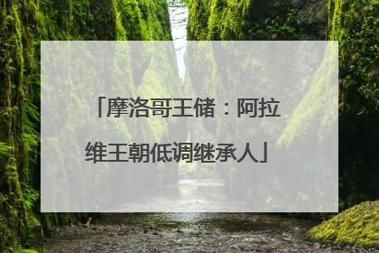 摩洛哥王储：阿拉维王朝低调继承人