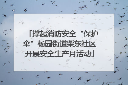 撑起消防安全“保护伞”杨园街道柴东社区开展安全生产月活动
