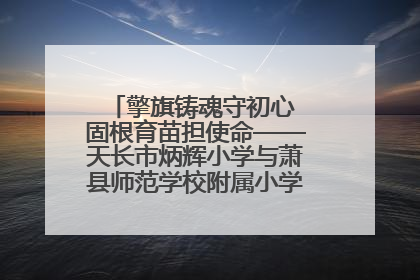 擎旗铸魂守初心 固根育苗担使命——天长市炳辉小学与萧县师范学校附属小学结对共建活动纪实