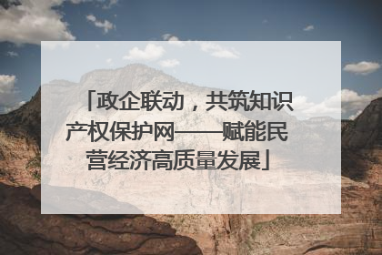 政企联动，共筑知识产权保护网——赋能民营经济高质量发展