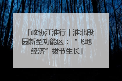 政协江淮行｜淮北段园新型功能区：“飞地经济”拔节生长