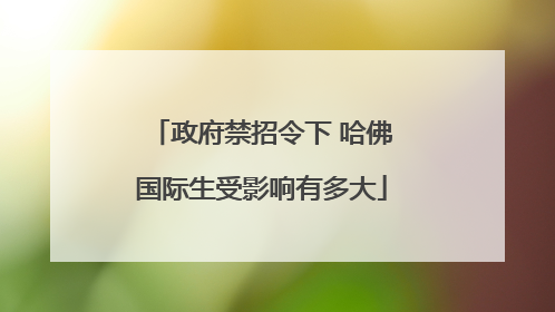 政府禁招令下 哈佛国际生受影响有多大