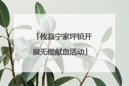 攸县宁家坪镇开展无偿献血活动