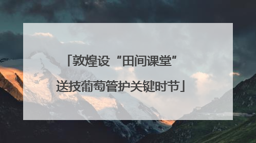 敦煌设“田间课堂” 送技葡萄管护关键时节