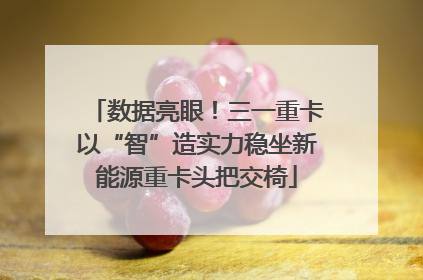 数据亮眼！三一重卡以“智”造实力稳坐新能源重卡头把交椅