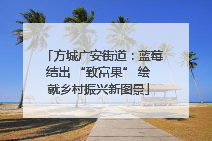 方城广安街道：蓝莓结出 “致富果” 绘就乡村振兴新图景
