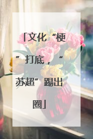 文化“梗”打底，“苏超”踢出圈