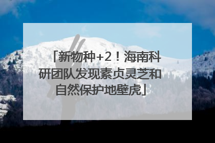 新物种+2！海南科研团队发现素贞灵芝和自然保护地壁虎