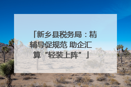 新乡县税务局：精辅导促规范 助企汇算“轻装上阵”