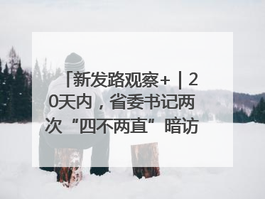 新发路观察+｜20天内，省委书记两次“四不两直”暗访，有何深意？