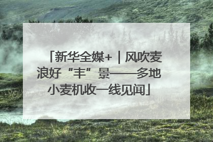 新华全媒+｜风吹麦浪好“丰”景——多地小麦机收一线见闻