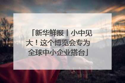新华鲜报丨小中见大！这个博览会专为全球中小企业搭台