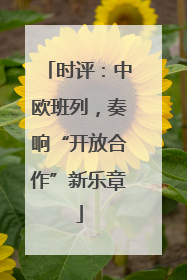 时评：中欧班列，奏响“开放合作”新乐章