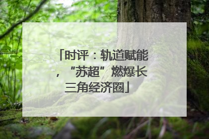 时评：轨道赋能，“苏超”燃爆长三角经济圈