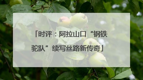 时评：阿拉山口“钢铁驼队”续写丝路新传奇