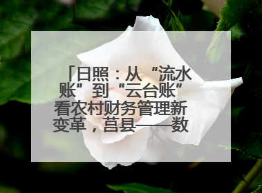 日照：从“流水账”到“云台账”看农村财务管理新变革，莒县——数字赋能激活乡村振兴“一池春水”