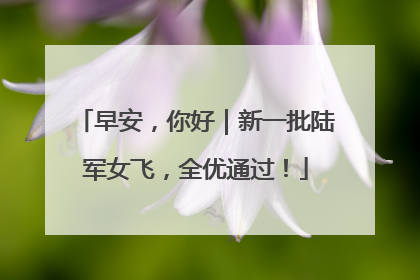 早安，你好｜新一批陆军女飞，全优通过！