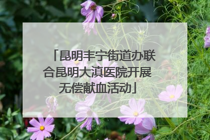 昆明丰宁街道办联合昆明大滇医院开展无偿献血活动