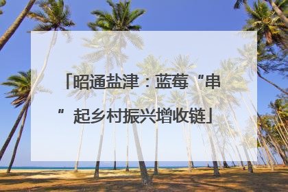昭通盐津：蓝莓“串”起乡村振兴增收链