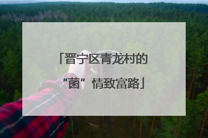 晋宁区青龙村的“菌”情致富路