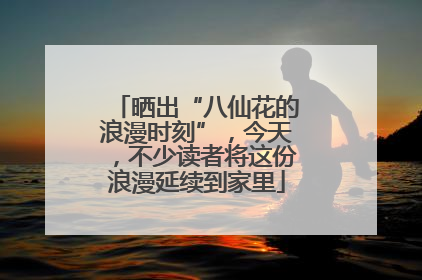 晒出“八仙花的浪漫时刻”，今天，不少读者将这份浪漫延续到家里