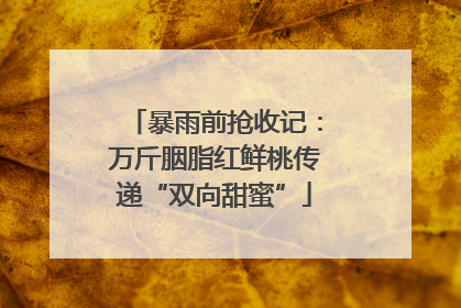 暴雨前抢收记：万斤胭脂红鲜桃传递“双向甜蜜”