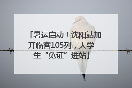 暑运启动！沈阳站加开临客105列，大学生“免证”进站