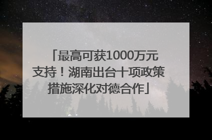 最高可获1000万元支持！湖南出台十项政策措施深化对德合作