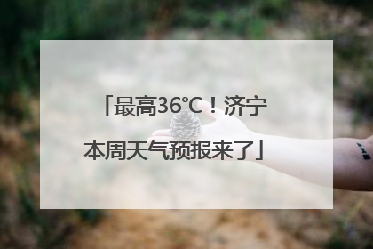 最高36℃！济宁本周天气预报来了