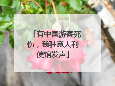 有中国游客死伤，我驻意大利使馆发声