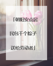 朝阳安贞居民包千个粽子送给劳动者