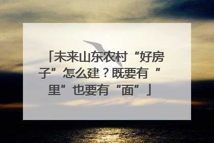 未来山东农村“好房子”怎么建？既要有“里”也要有“面”