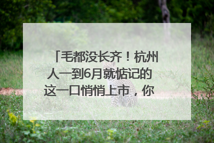 毛都没长齐！杭州人一到6月就惦记的这一口悄悄上市，你打算尝鲜吗？
