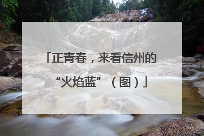 正青春，来看信州的“火焰蓝”（图）
