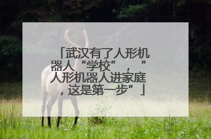 武汉有了人形机器人“学校”，“人形机器人进家庭，这是第一步”