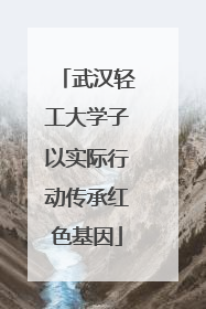 武汉轻工大学子以实际行动传承红色基因