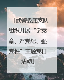 武警娄底支队组织开展“学党章、严党纪、强党性”主题党日活动