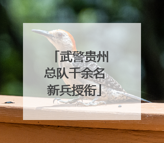 武警贵州总队千余名新兵授衔