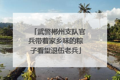 武警郴州支队官兵带着家乡味的粽子看望退伍老兵