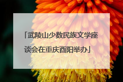 武陵山少数民族文学座谈会在重庆酉阳举办