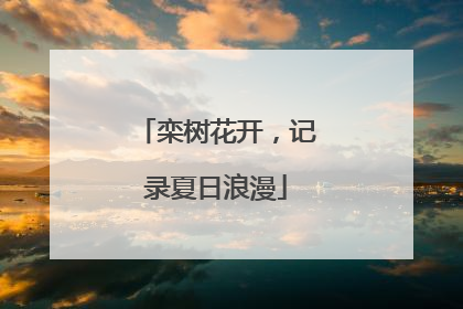 栾树花开，记录夏日浪漫