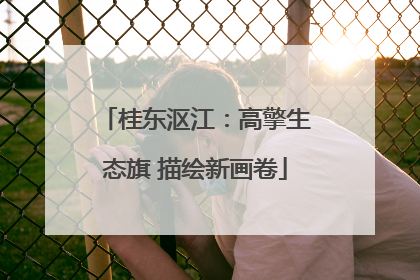 桂东沤江：高擎生态旗 描绘新画卷