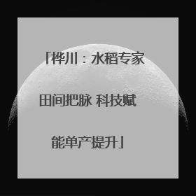 桦川：水稻专家田间把脉 科技赋能单产提升