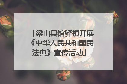 梁山县馆驿镇开展《中华人民共和国民法典》宣传活动